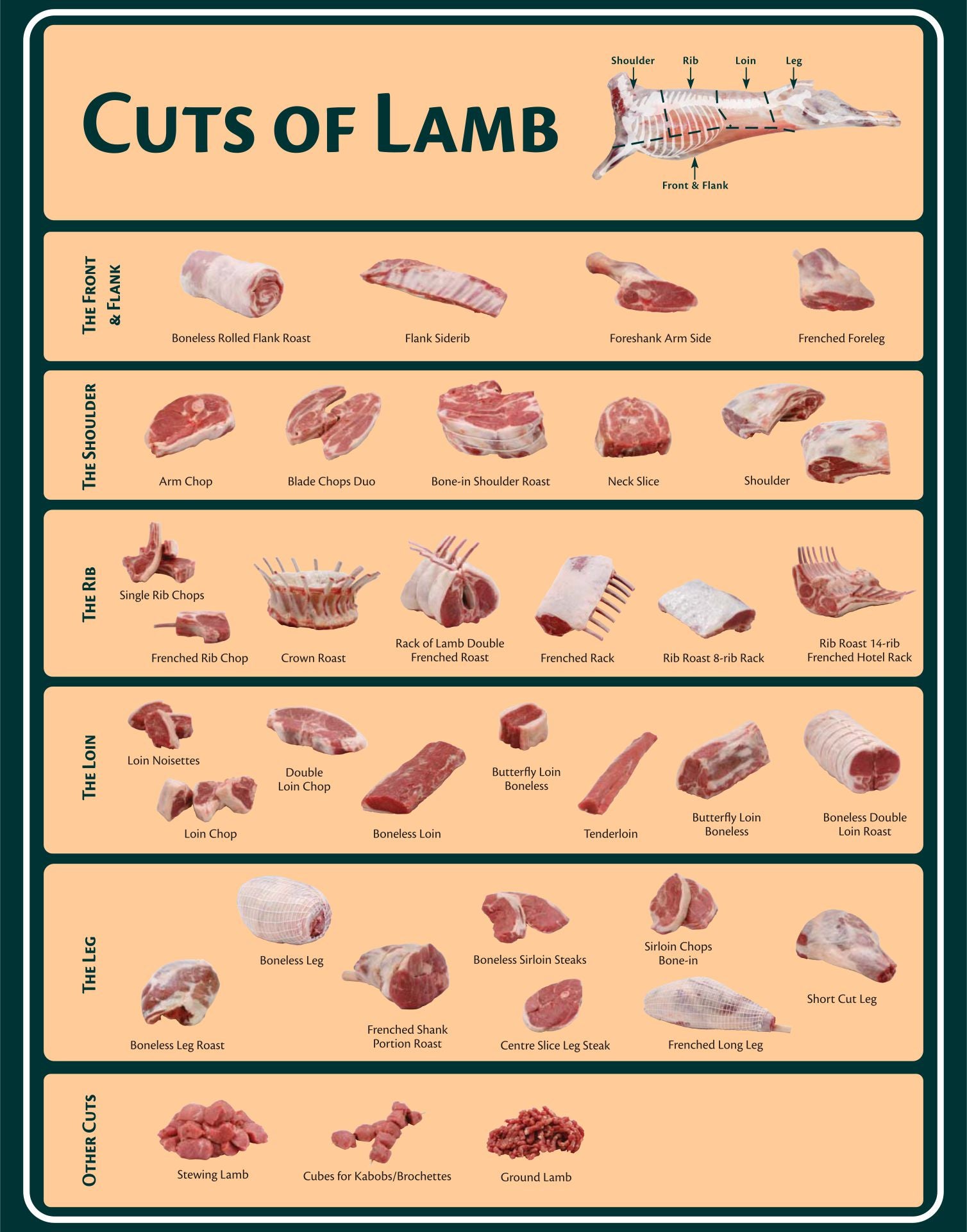 Lamb Cuts