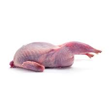 Raw quail on a white background