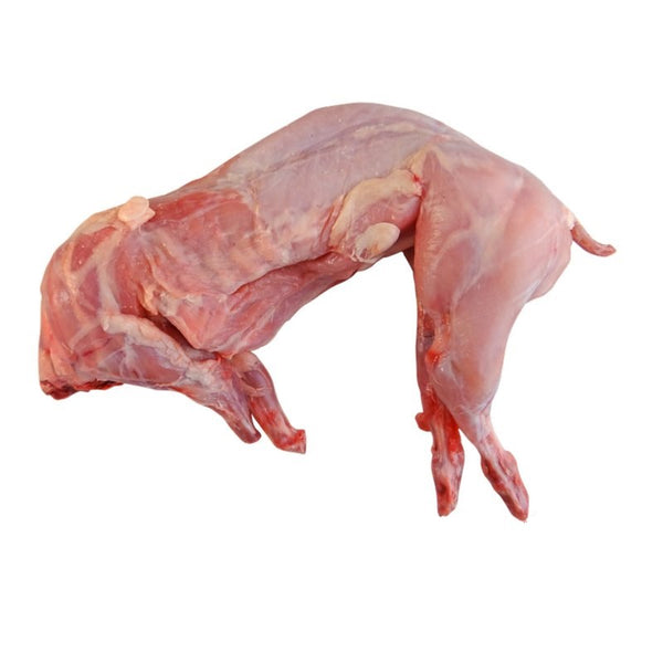 A whole, fresh rabbit on a white background.