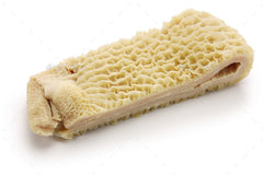A 6 inch piece of beef tripe on white butcher paper