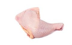 A raw, uncooked turkey leg on a white background