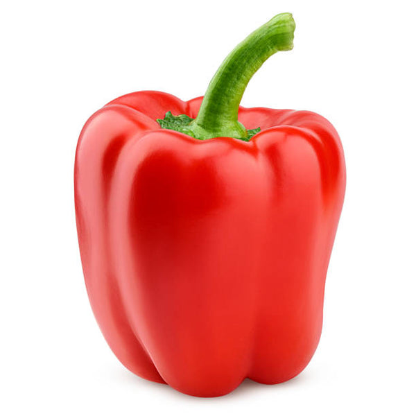 Red bell pepper with white background. 