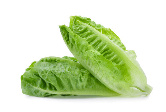 Two romaine lettuce on top of each other with white background. 