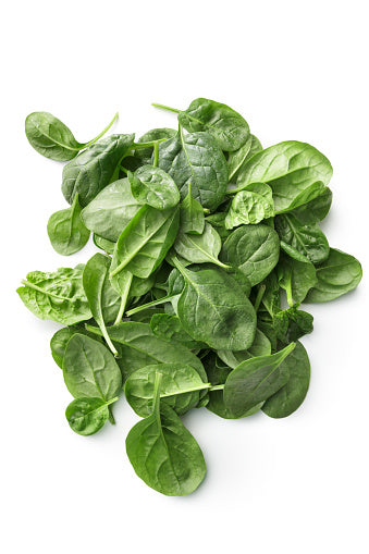 A pile of fresh green spinach leaves on a white background.